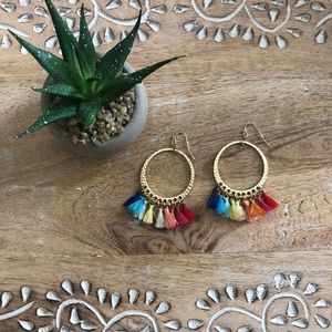 Gold Rainbow Tassel Earrings